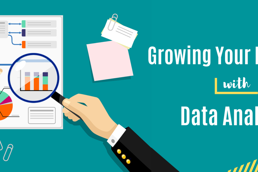 Growing Your Business with Data Analysis
